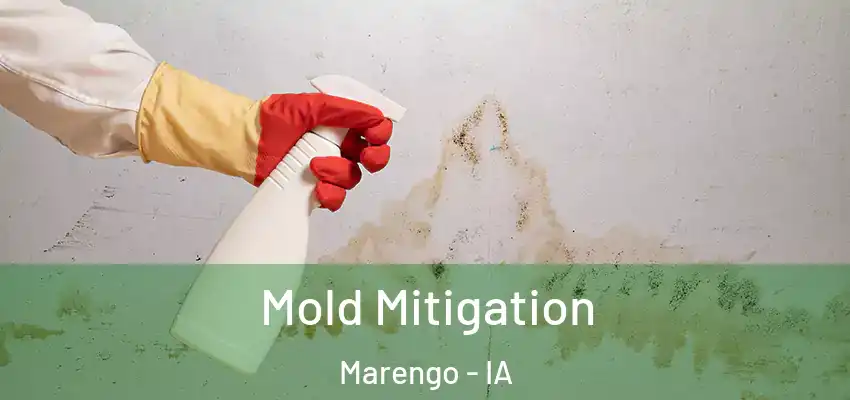  Mold Mitigation Marengo - IA