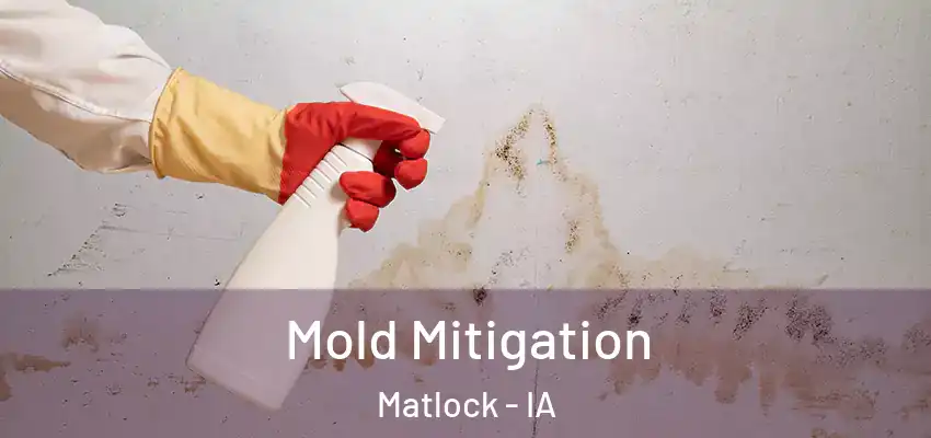  Mold Mitigation Matlock - IA