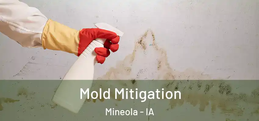 Mold Mitigation Mineola - IA