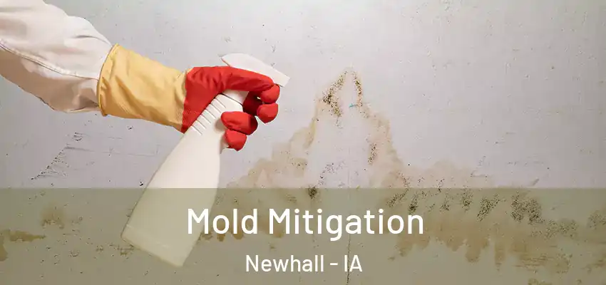  Mold Mitigation Newhall - IA