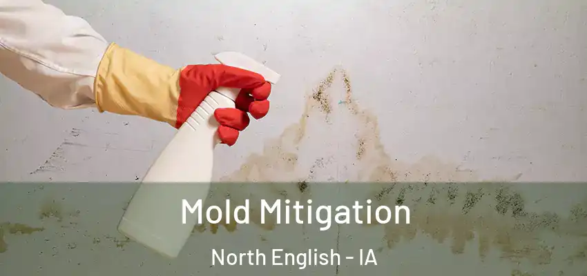Mold Mitigation North English - IA