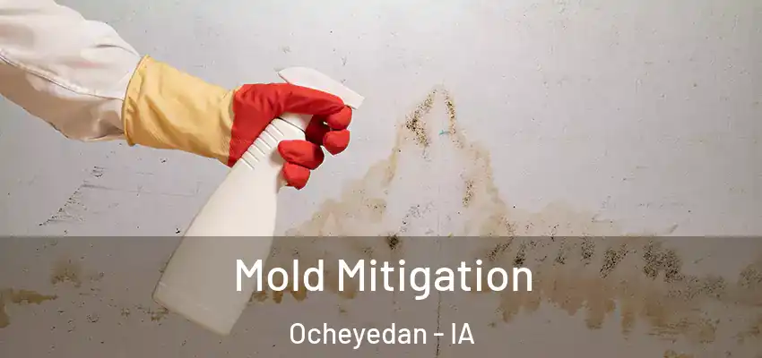  Mold Mitigation Ocheyedan - IA
