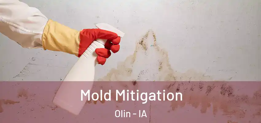 Mold Mitigation Olin - IA