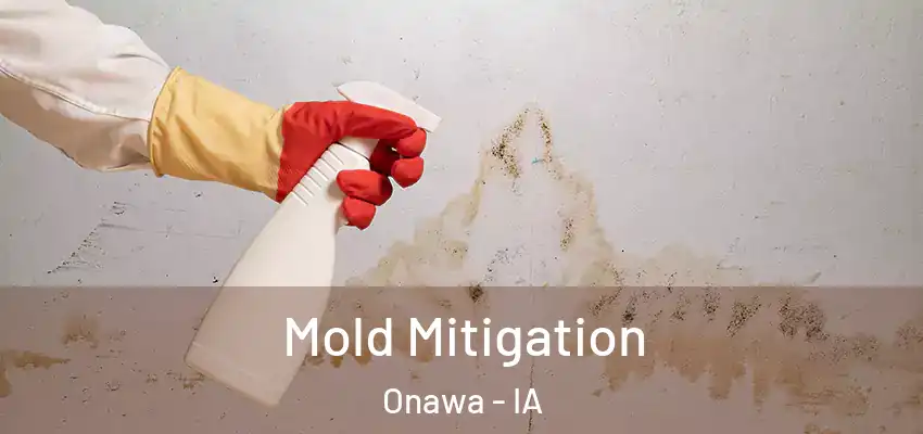  Mold Mitigation Onawa - IA