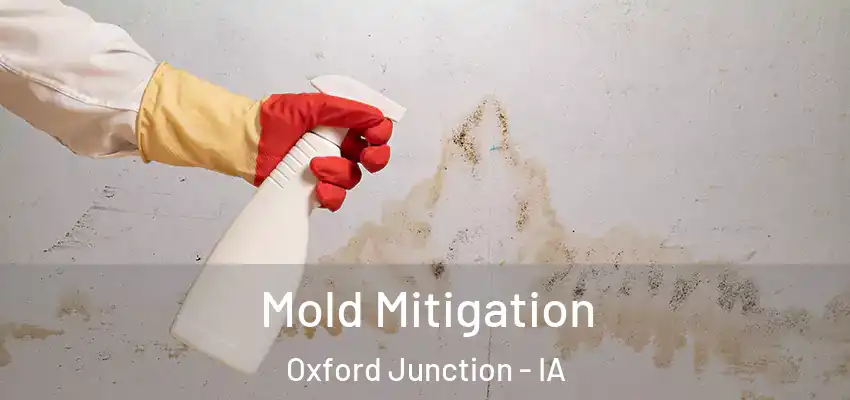 Mold Mitigation Oxford Junction - IA