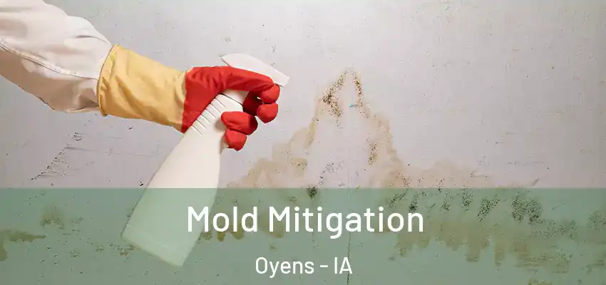  Mold Mitigation Oyens - IA