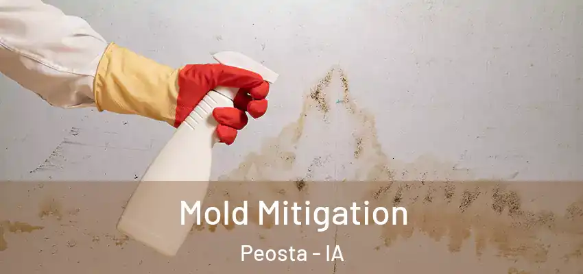 Mold Mitigation Peosta - IA
