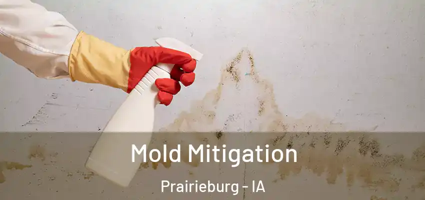 Mold Mitigation Prairieburg - IA