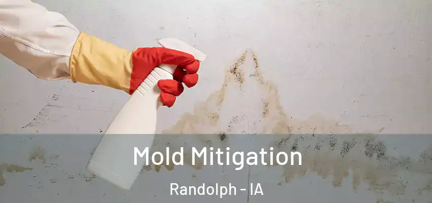  Mold Mitigation Randolph - IA
