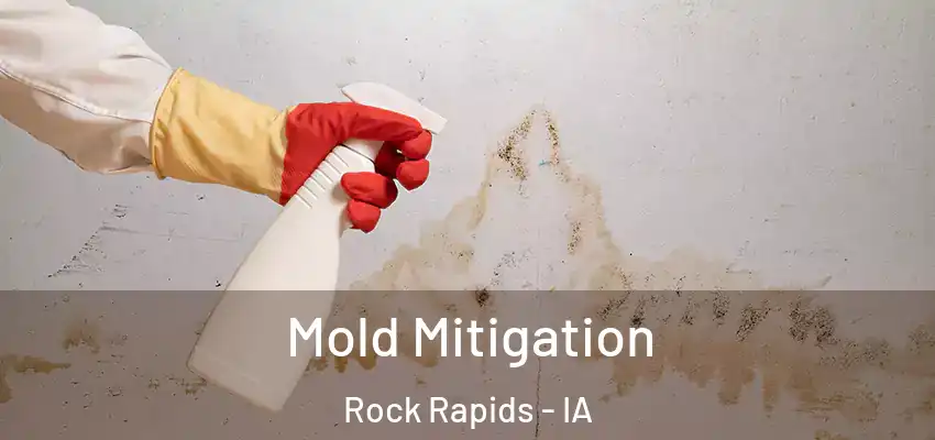 Mold Mitigation Rock Rapids - IA