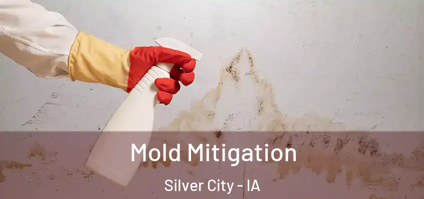 Mold Mitigation Silver City - IA