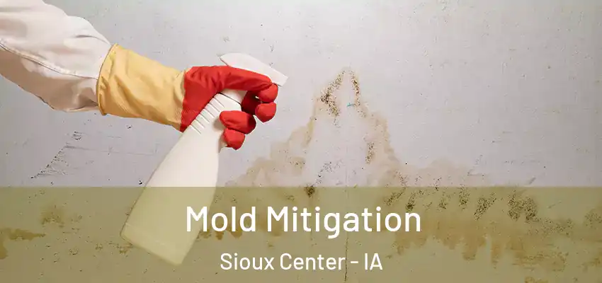 Mold Mitigation Sioux Center - IA