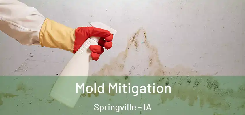  Mold Mitigation Springville - IA