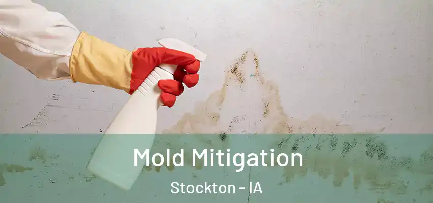 Mold Mitigation Stockton - IA