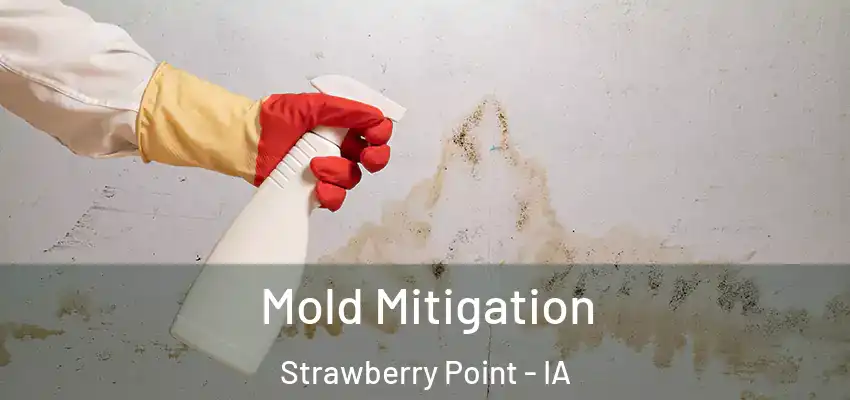 Mold Mitigation Strawberry Point - IA