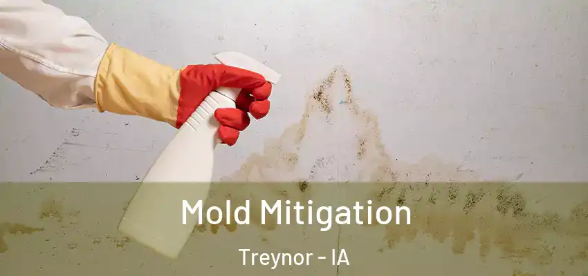  Mold Mitigation Treynor - IA