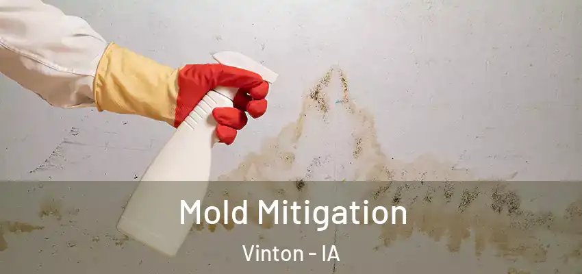  Mold Mitigation Vinton - IA