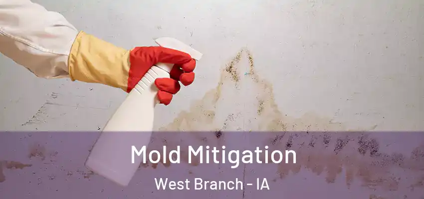 Mold Mitigation West Branch - IA