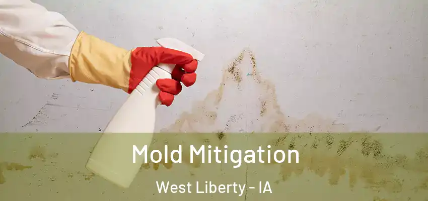 Mold Mitigation West Liberty - IA