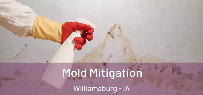  Mold Mitigation Williamsburg - IA