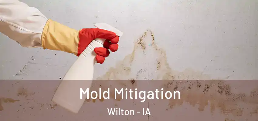  Mold Mitigation Wilton - IA