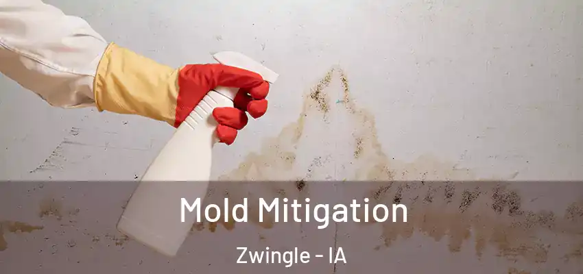 Mold Mitigation Zwingle - IA