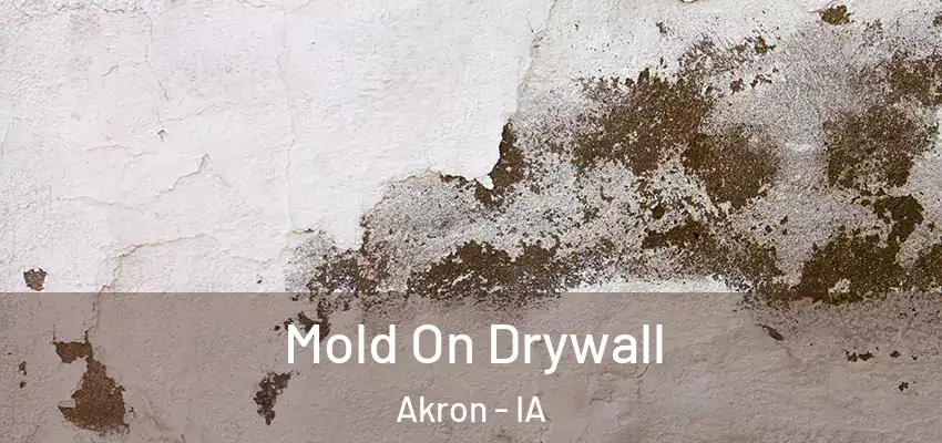 Mold On Drywall Akron - IA