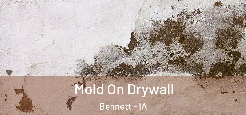 Mold On Drywall Bennett - IA