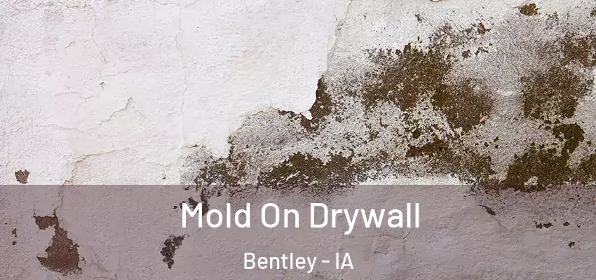Mold On Drywall Bentley - IA