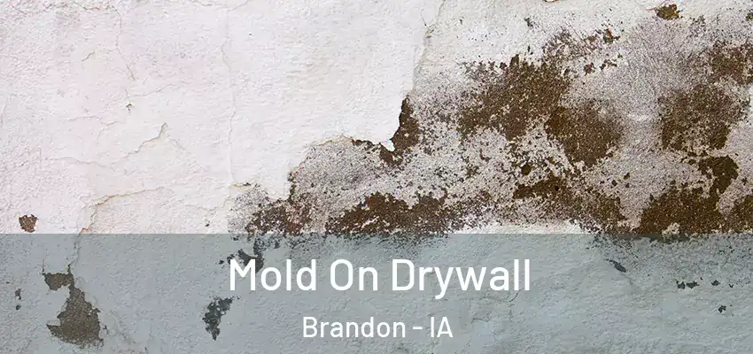  Mold On Drywall Brandon - IA