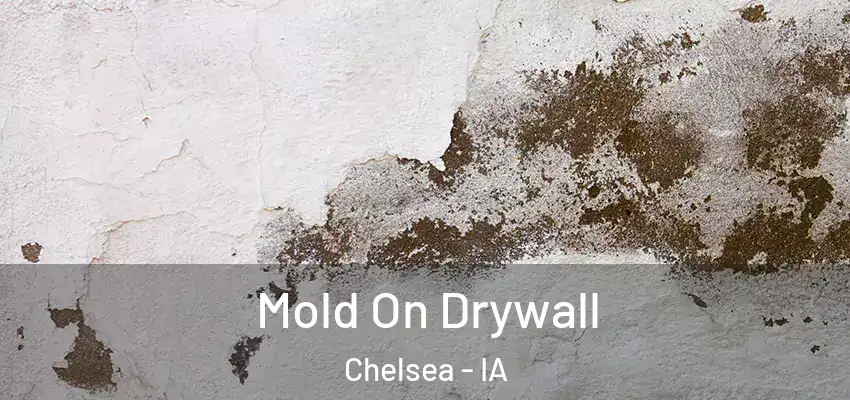 Mold On Drywall Chelsea - IA