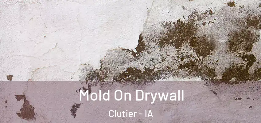 Mold On Drywall Clutier - IA