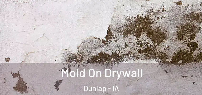  Mold On Drywall Dunlap - IA