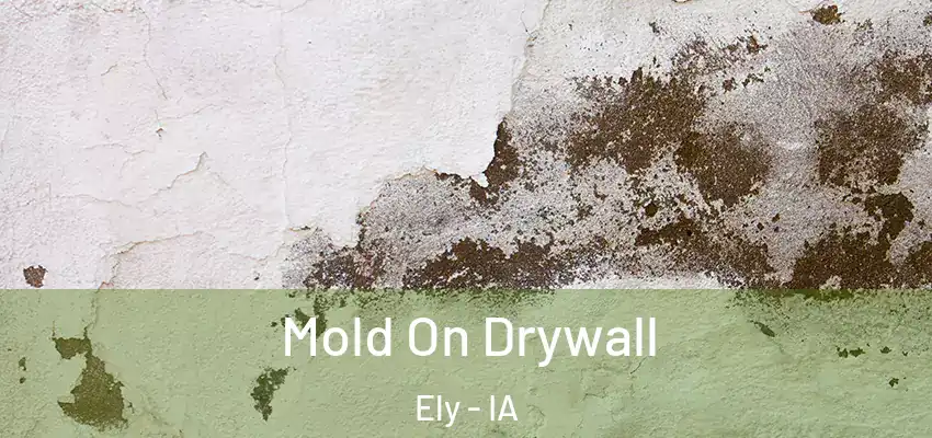  Mold On Drywall Ely - IA