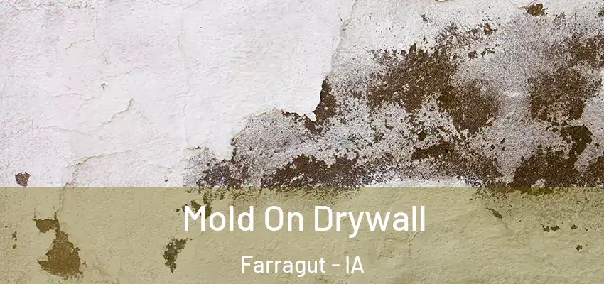 Mold On Drywall Farragut - IA