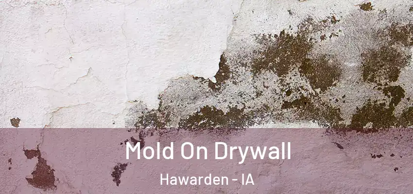  Mold On Drywall Hawarden - IA