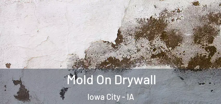  Mold On Drywall Iowa City - IA