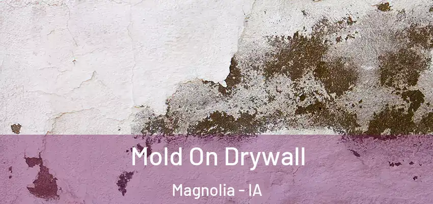  Mold On Drywall Magnolia - IA