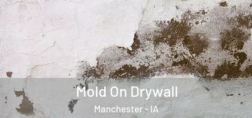 Mold On Drywall Manchester - IA