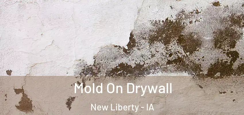 Mold On Drywall New Liberty - IA