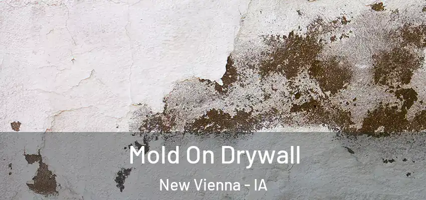  Mold On Drywall New Vienna - IA