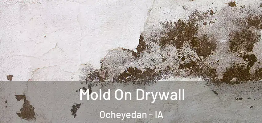  Mold On Drywall Ocheyedan - IA
