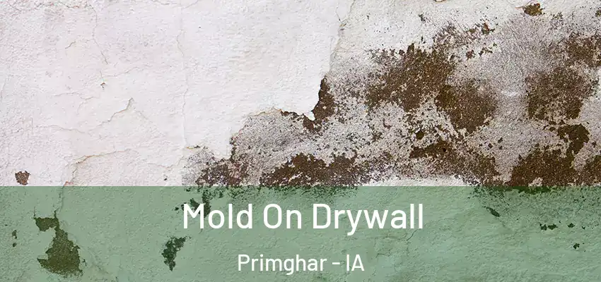  Mold On Drywall Primghar - IA