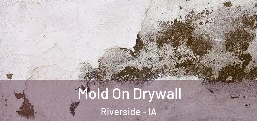  Mold On Drywall Riverside - IA