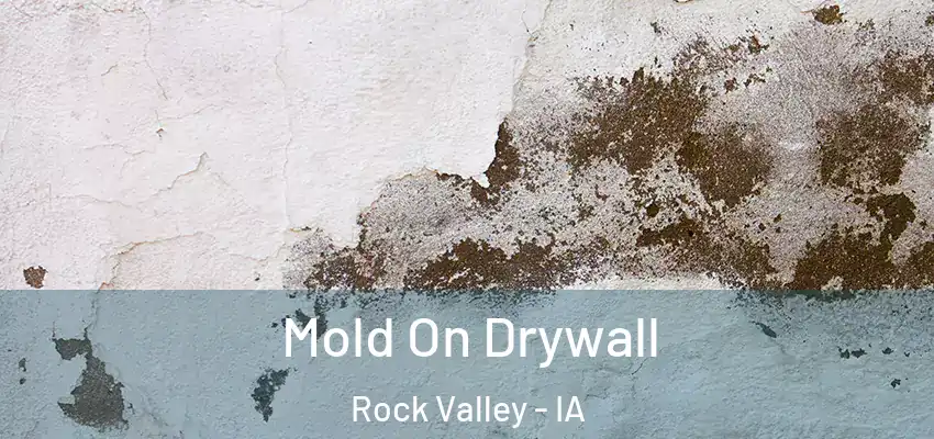 Mold On Drywall Rock Valley - IA