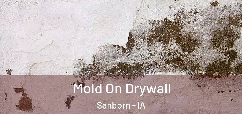  Mold On Drywall Sanborn - IA