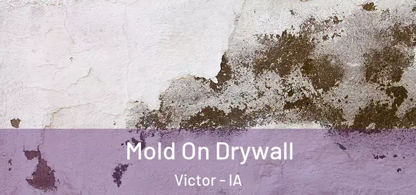 Mold On Drywall Victor - IA
