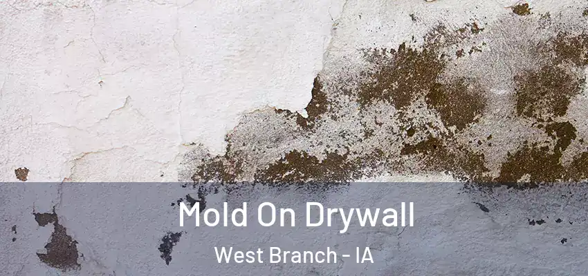 Mold On Drywall West Branch - IA