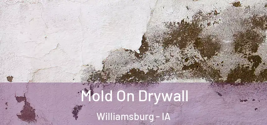  Mold On Drywall Williamsburg - IA
