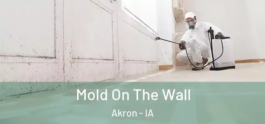 Mold On The Wall Akron - IA